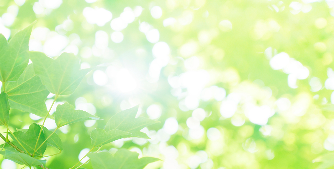 メインビジュアル1