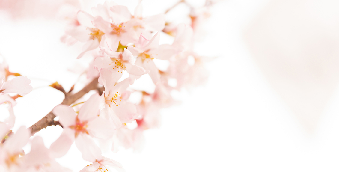 メインビジュアル2