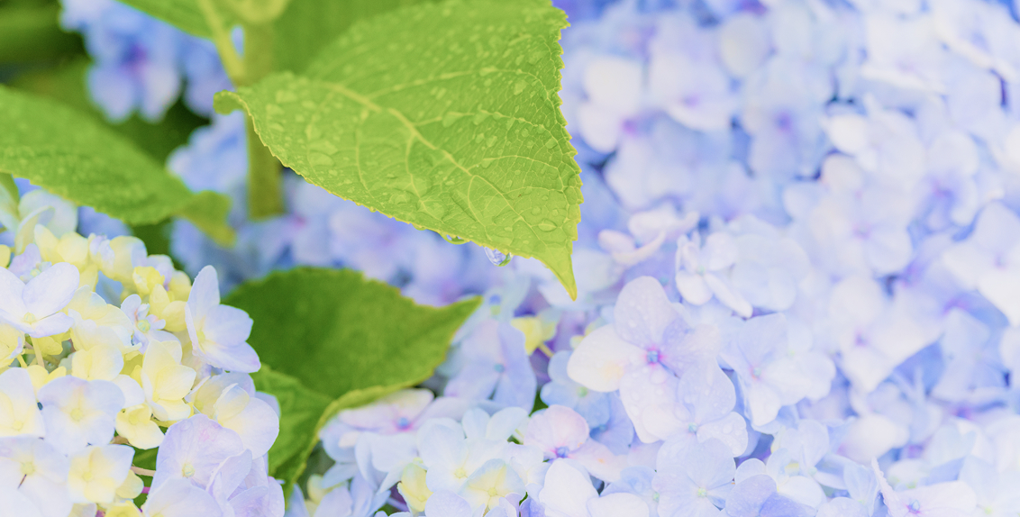 メインビジュアル3