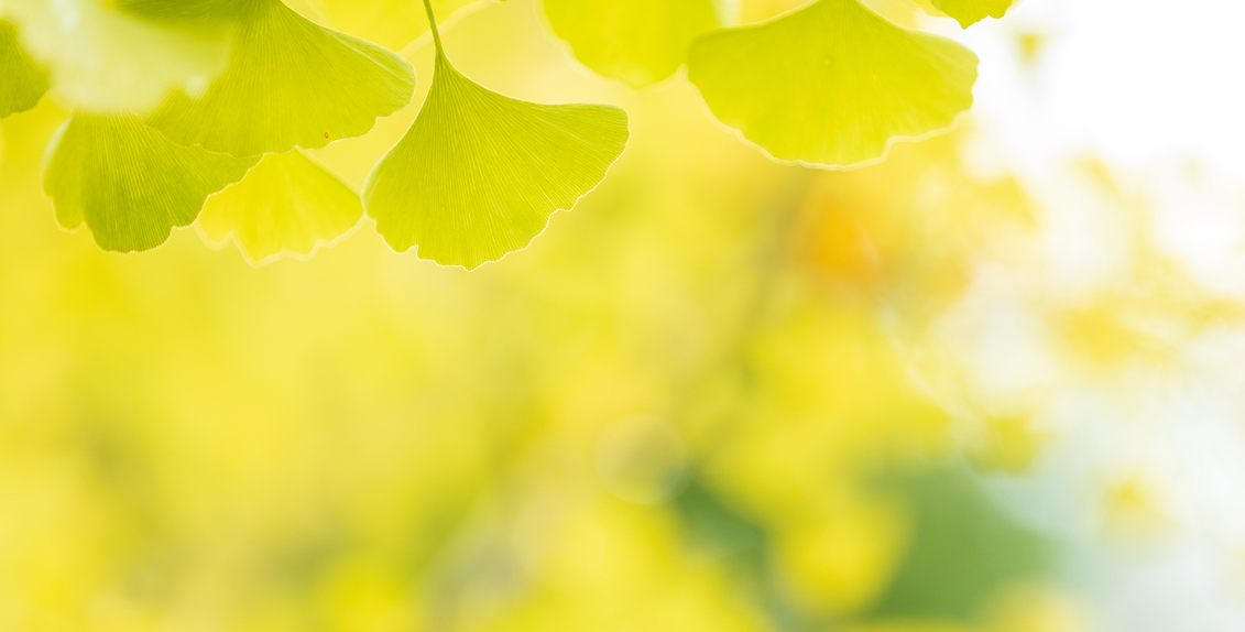 メインビジュアル4