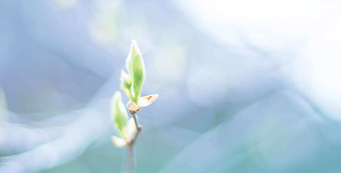 メインビジュアル5